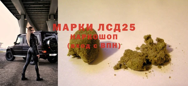 хмурый Арсеньев
