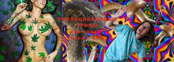 хмурый Арсеньев