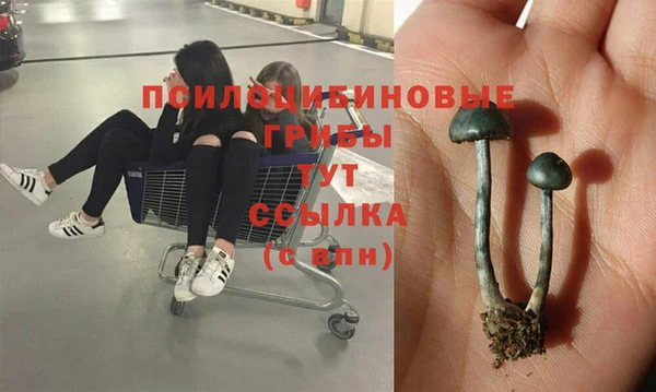 гидропоника Аркадак
