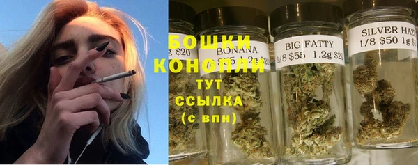 хмурый Арсеньев