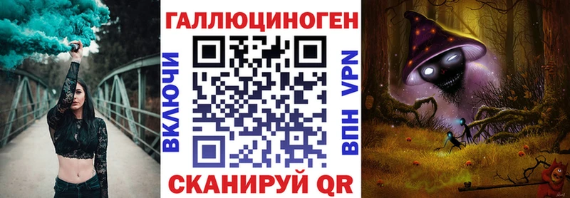 Галлюциногенные грибы Psilocybe  Навашино 